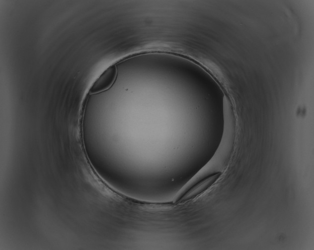 X0000091681296200708301512