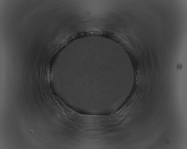 X0000091681298200708301511