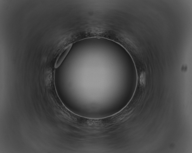 X0000091681299200708301511