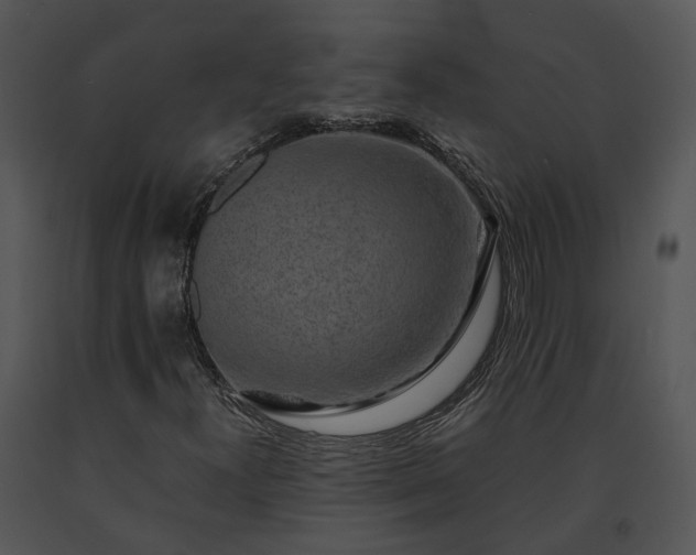 X0000091681300200708301511