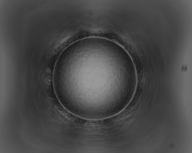 X0000091681301200708301511
