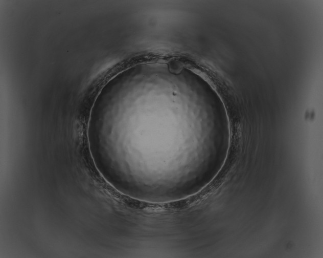 X0000091681302200708301511
