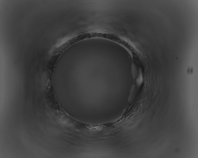 X0000091681303200708301511