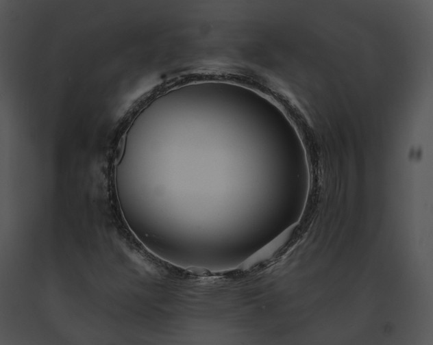 X0000091681304200708301511