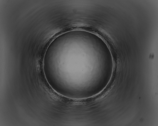 X0000091681305200708301511