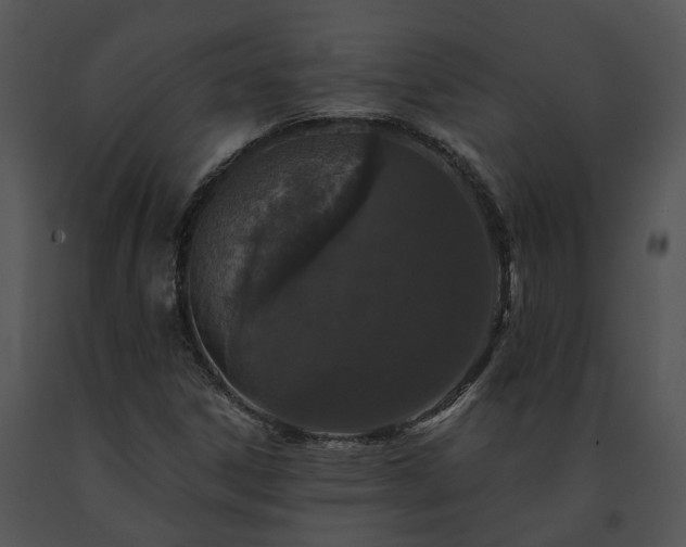 X0000091681306200708301512
