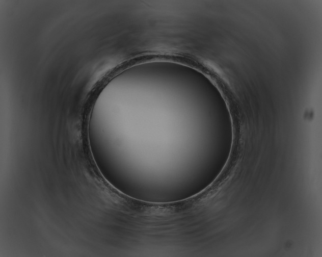 X0000091681307200708301512