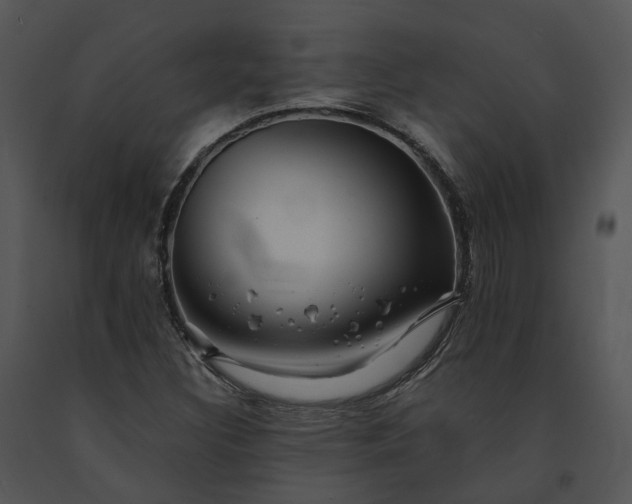 X0000091681308200708301512