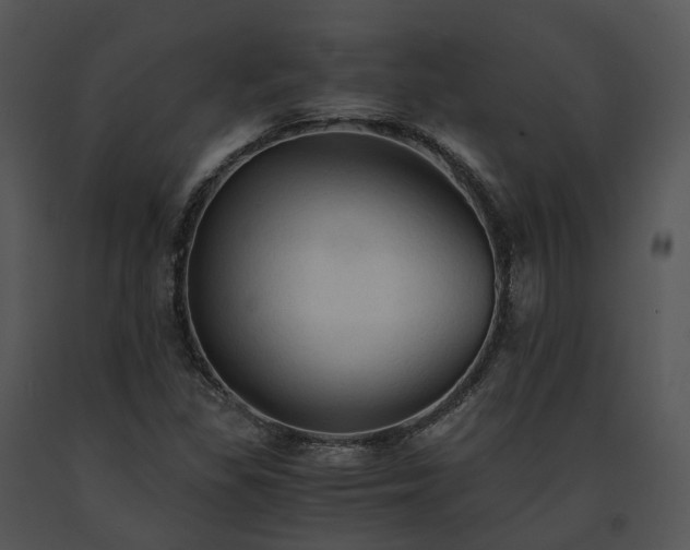 X0000091681309200708301512