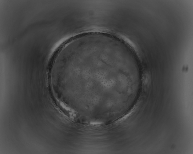 X0000091681310200708301512