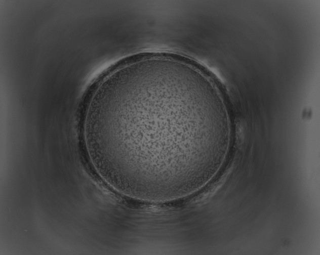 X0000091681311200708301512