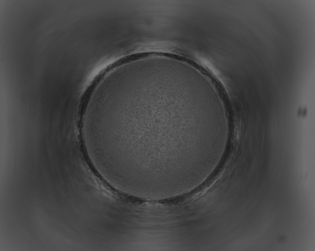 X0000091681312200708301512
