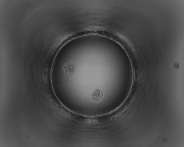 X0000091681313200708301512