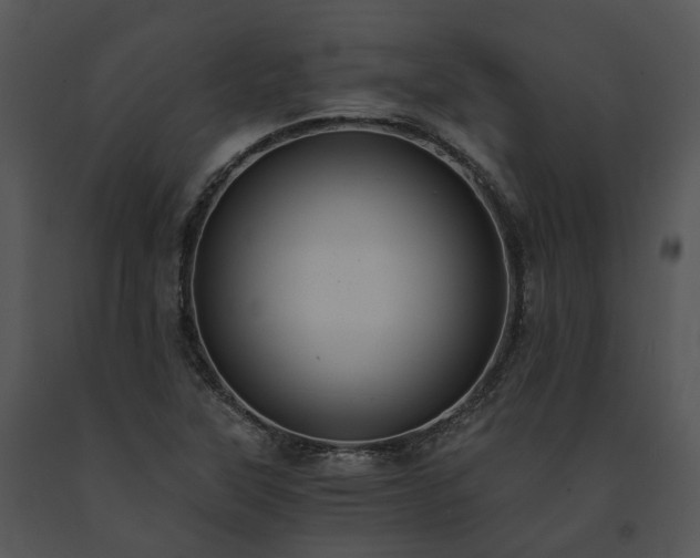 X0000091681315200708301512