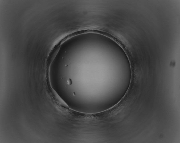 X0000091681316200708301512
