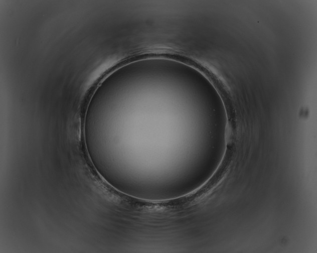 X0000091681317200708301512