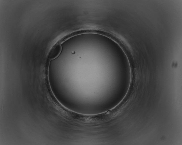 X0000091681318200708301512