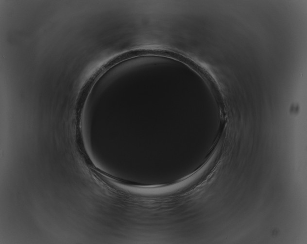 X0000091681319200708301512
