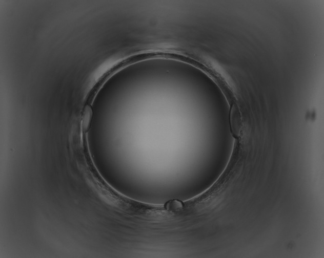X0000091681320200708301512