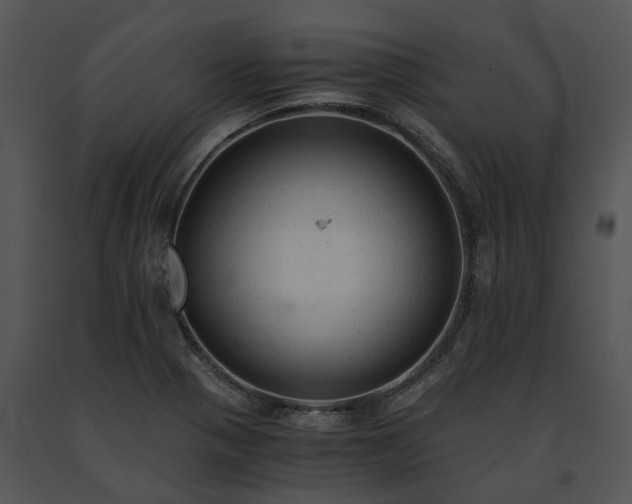 X0000091681321200708301512