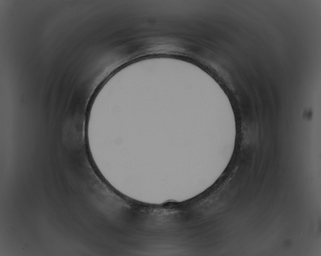 X0000091681322200708301512