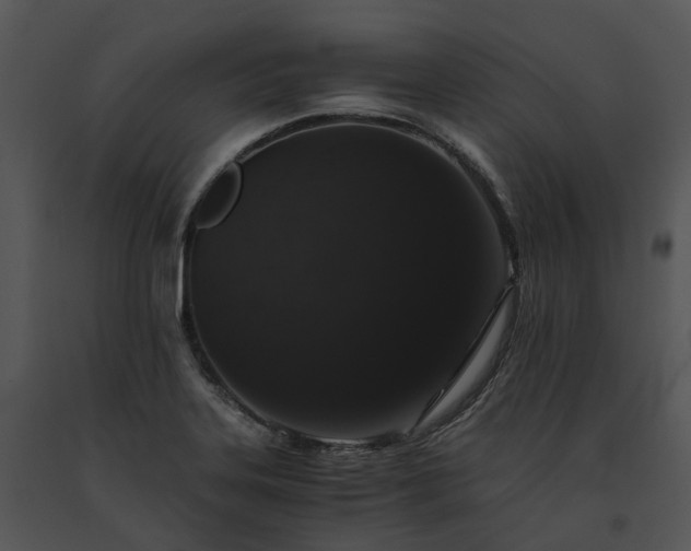 X0000091681323200708301512