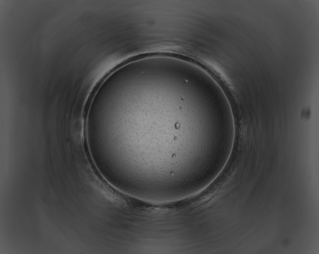 X0000091681324200708301512