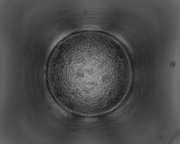 X0000091681325200708301512