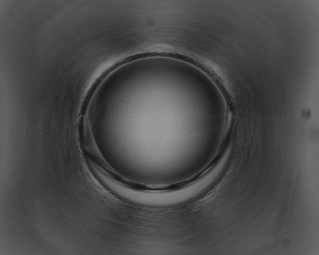 X0000091681326200708301512