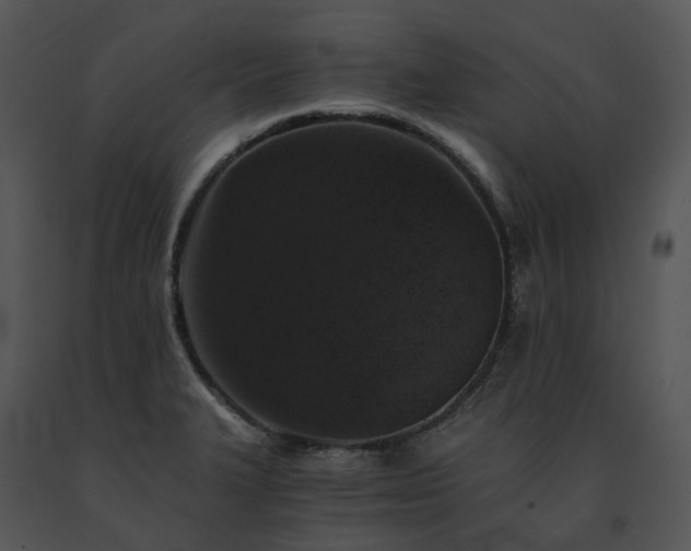 X0000091681327200708301512
