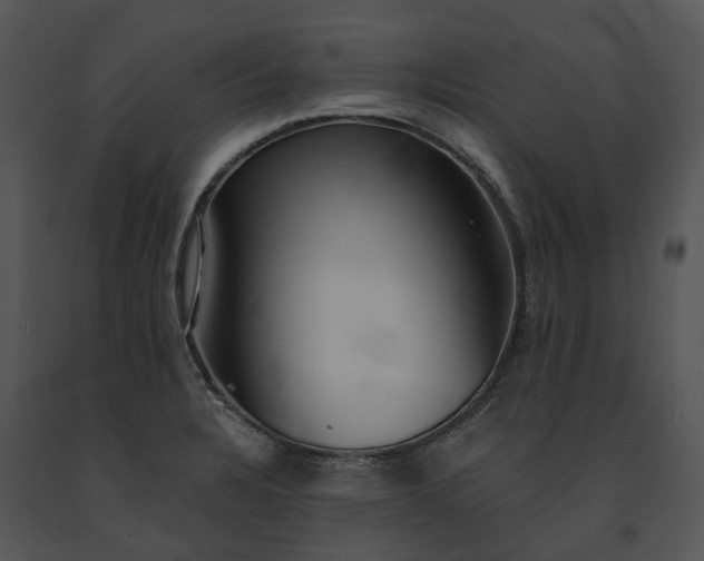 X0000091681328200708301512