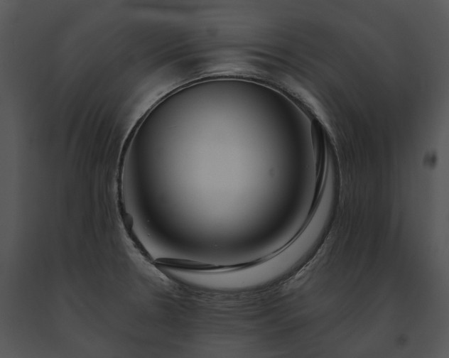 X0000091681330200708301512