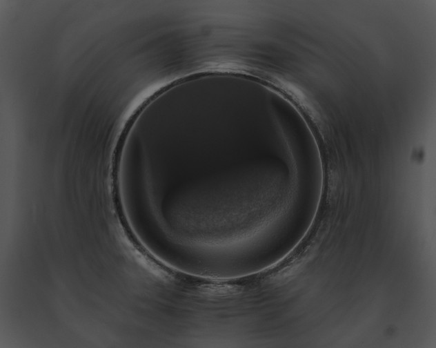 X0000091681331200708301512