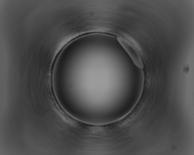 X0000091681332200708301512
