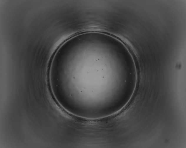 X0000091681333200708301512
