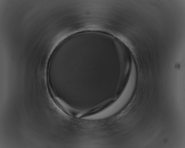 X0000091681334200708301512
