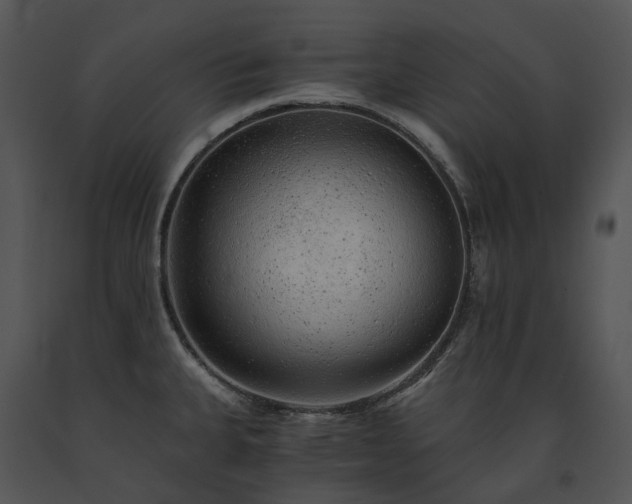 X0000091681335200708301512