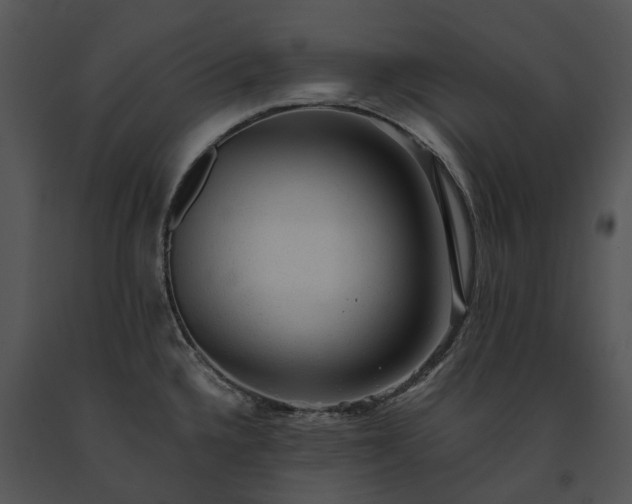X0000091681336200708301512