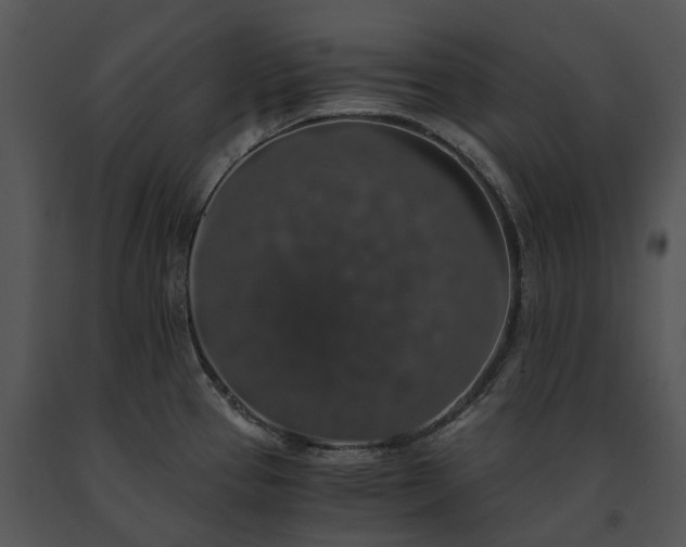 X0000091681337200708301512