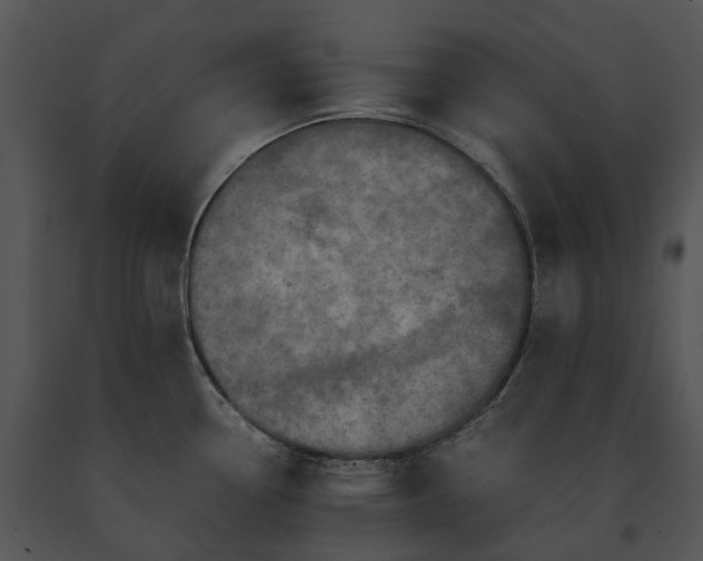 X0000091681338200708301512