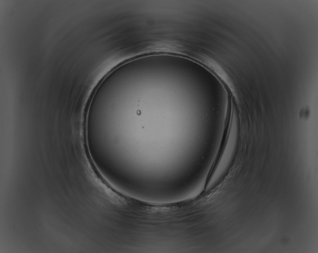 X0000091681339200708301512