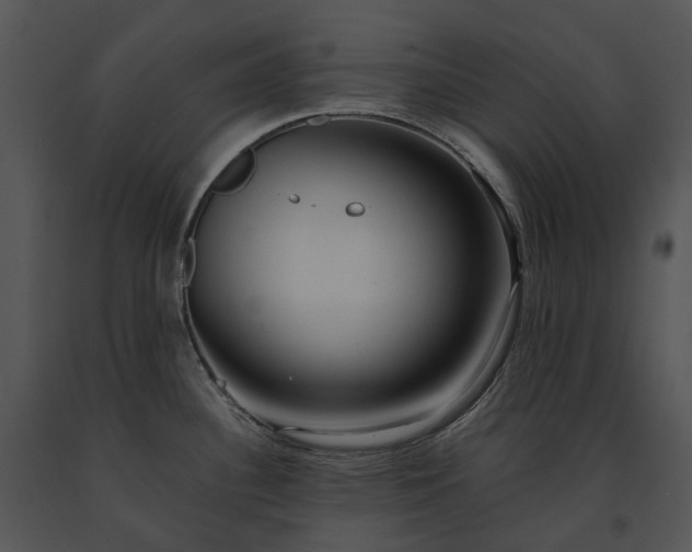 X0000091681340200708301512