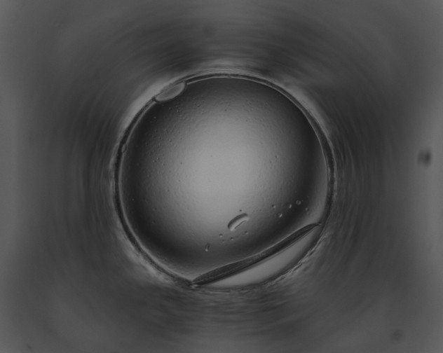 X0000091681341200708301512