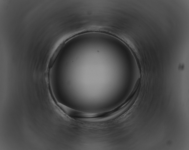 X0000091681342200708301512