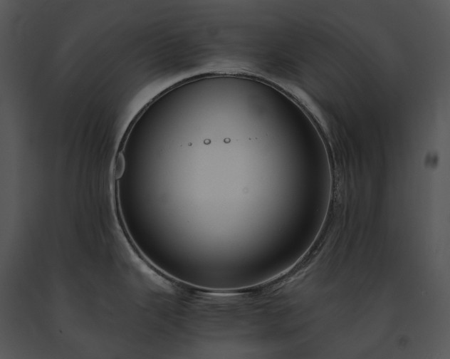 X0000091681343200708301512