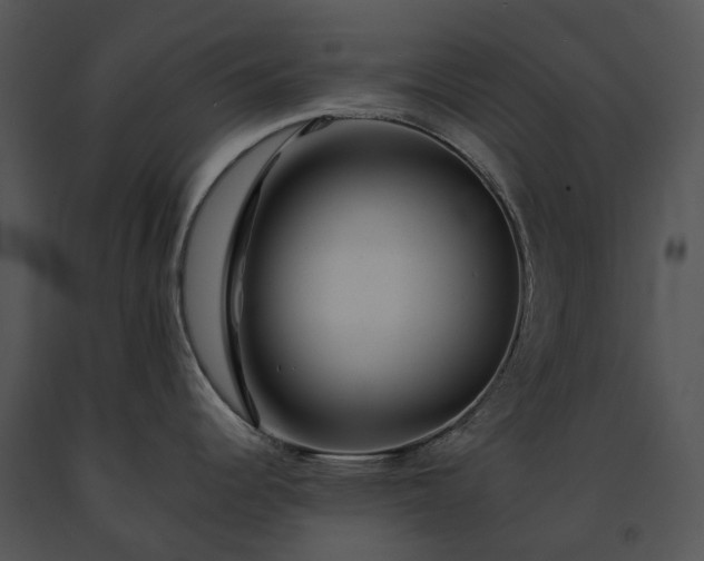 X0000091681344200708301512