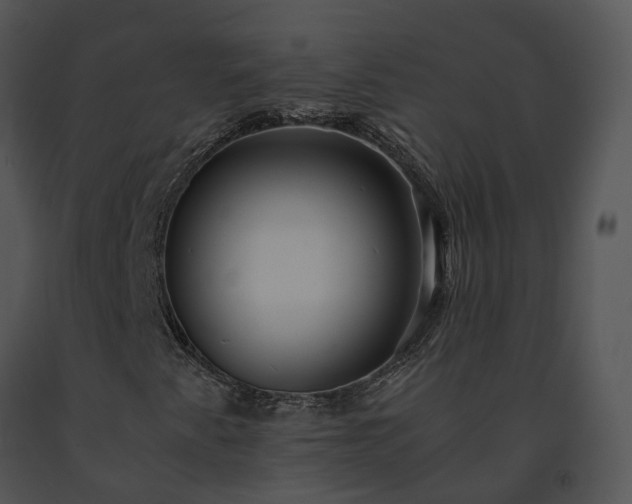 X0000091681345200708301511