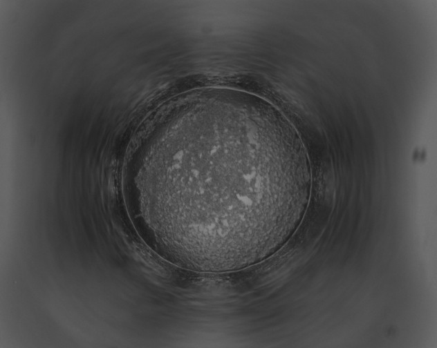 X0000091681346200708301511