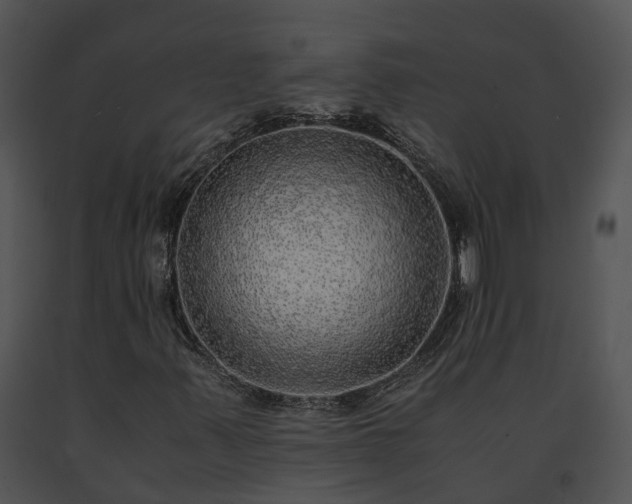 X0000091681347200708301511