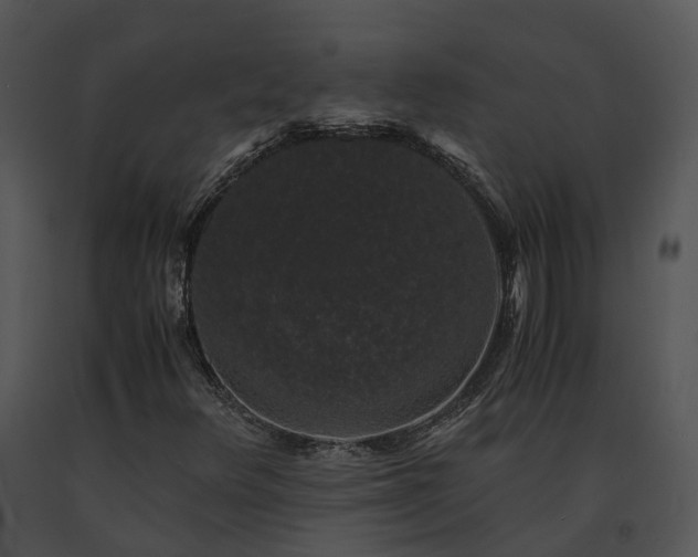 X0000091681348200708301511